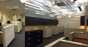 office renovation lighting options