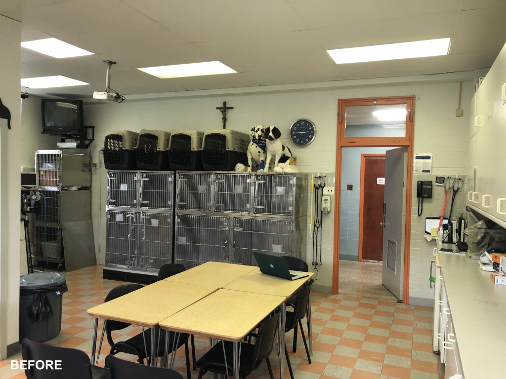Manor College Veterinary Technology Facilities before specialty construction renovation