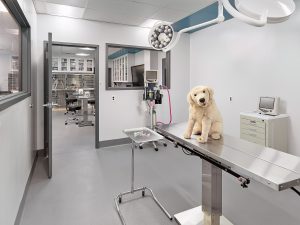 renovated operating room of Manor College Vet Tech project (with cute dog stuffed animal posed on table)
