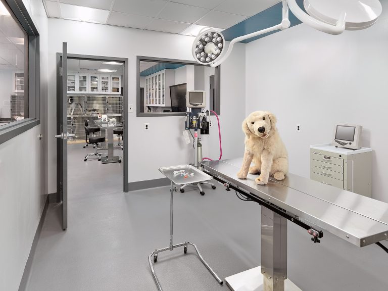 renovated operating room of Manor College Vet Tech project (with cute dog stuffed animal posed on table)