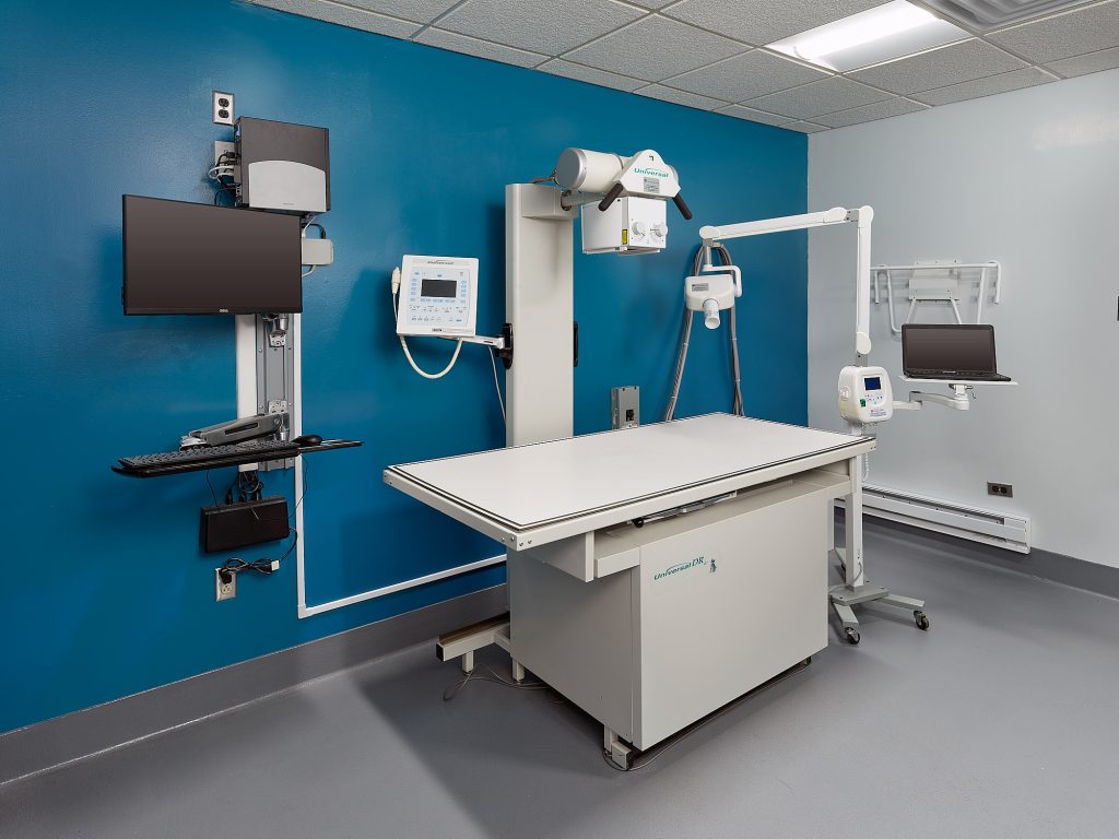 Manor College Veterinary Technology Facilities examination room with blue paint after renovation
